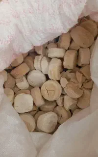 کشک گوسفندی