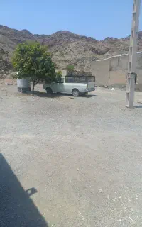 سلام وانت کرایه