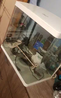 آکواریوم