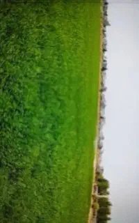 راننده تراکتور وارد به کار با ادوات برش یونجه