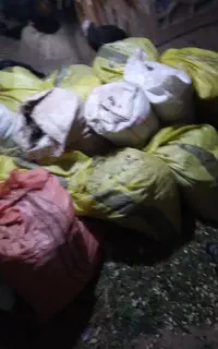 ۵۰گونی فضله کبوتر و مرغ...