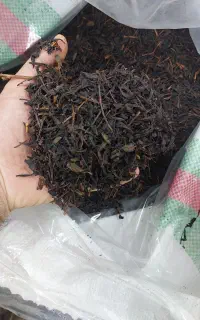 چای قلم .ممتاز