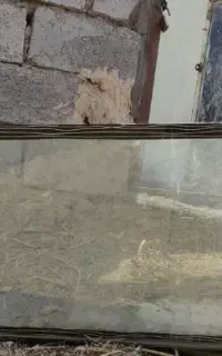 آکواریوم
