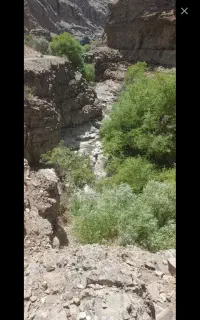 طبیعت گردی