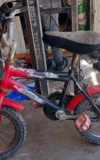 دوچرخه بچه گانه