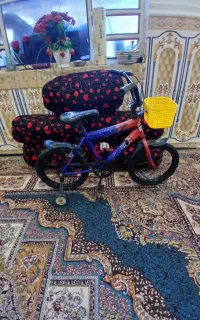 دوچرخه 16