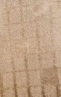 پالاز موکت اصل