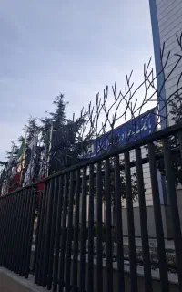 شاخ گوزنی اروم حفاظ