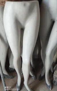 مانکن پا