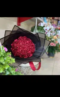 گل های زیبا ربانی