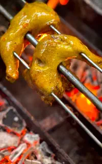دستگاه بریان ذغالی