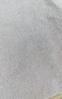 فرش پالاز موکت