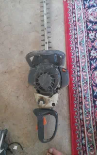 شمشاد زن فلیپس  اصل المان
