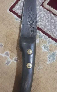 سید رضا