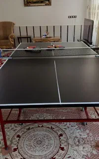 میز تنیس درحد