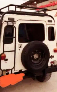فروش پاژن سفیدزیبا مرند
