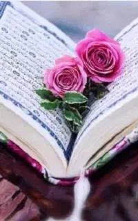 خانمی هستم ک ختم قرآن و صلوات و زیارت عاشورا نماز