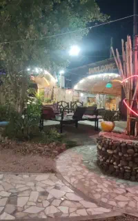 نیروی کار