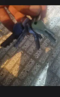 دسته کلید وکلید ماشین گم کردم