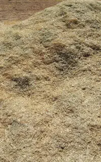 علوفه (آلف جار)