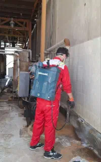 سمپاشی کلیه حشرات خانگی سم پاشی موریانه،سوسک