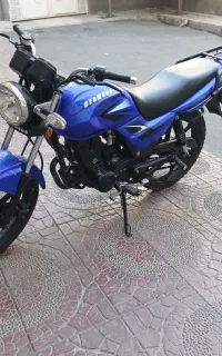 برمودا dy150 طرح باکسر