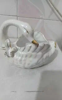 قوو ماهی