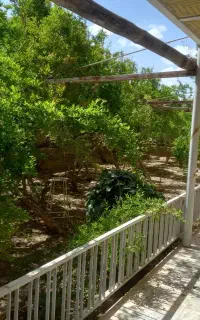 باغبا ن سرایداری