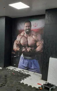کاغذ دیواری‌نقاشی‌ترمو‌‌ تی وی وال