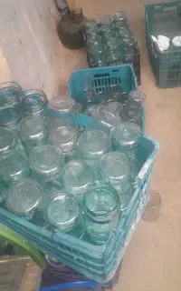 شیشه عسل
