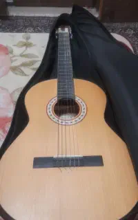 گیتار پارسی