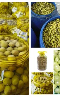 پخش زیتون بدون واسطه