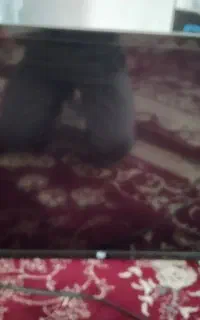 فروش تلوزیون