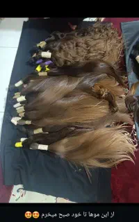 آماده همکاری با تمام سالنها و همکاران
