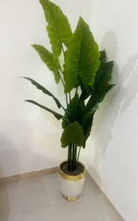 گلدان