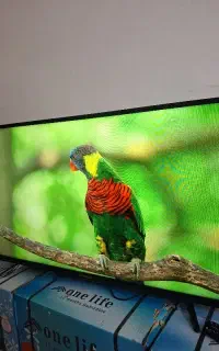 ۴۳ ال ای دی شهاب اسمارت