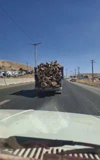 خریدار چوب شما هستم