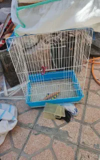 قفس پرنده