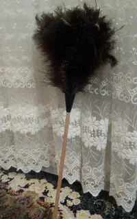 گردگیرپرشترمرغ