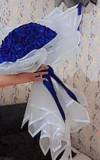 گل نازی گل ربانی