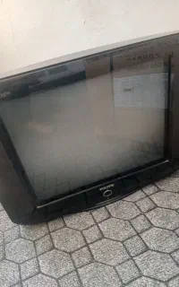 تلویزیون