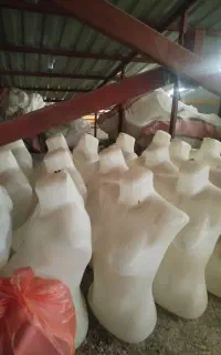 مانکن بدن زنانه پلاستیکی
