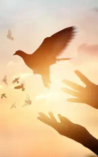 شروعی دوباره برای سلامتی و آرامش زندگی