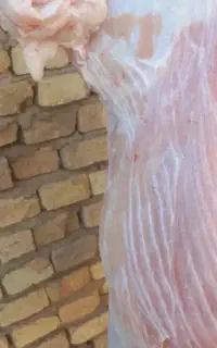 قصابی سیار