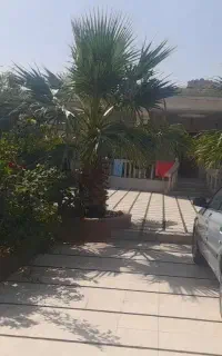 سمند