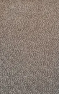 موکت
