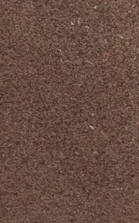 فروش بذر یونجه. کاملا درجه یک