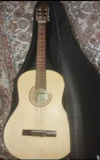 گیتار سالم