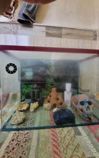 آکواریوم ماهی