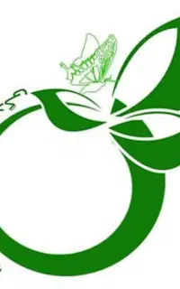 شرکت خدماتی آوای زندگی خانه تکانی/سالمند/کودک